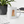 Load image into Gallery viewer, Golden Retriever White glossy mug