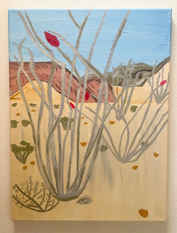 Los Ocotillos in the Desert