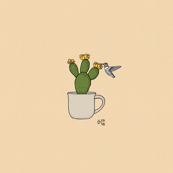 Hummingbird and Blooming Prickly Pear in coffee mug Print