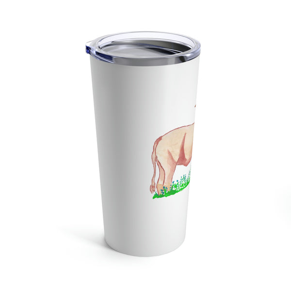 Longhorn and Blue Bonnets Tumbler 20oz