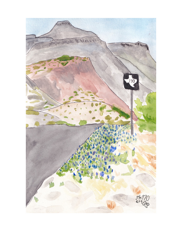 Blue Bonnets on FM 170