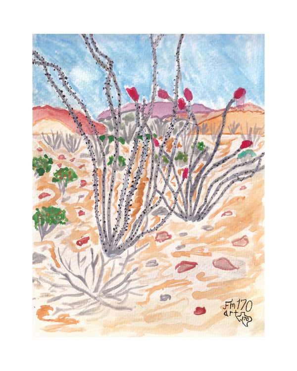 Los Ocotillos Print